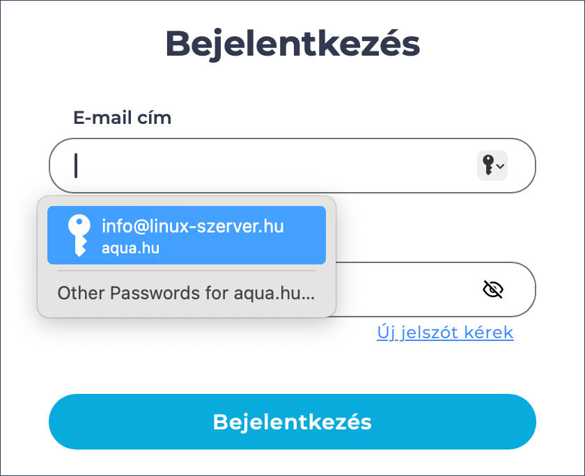 A böngésző űrlap adatokat is rögzít